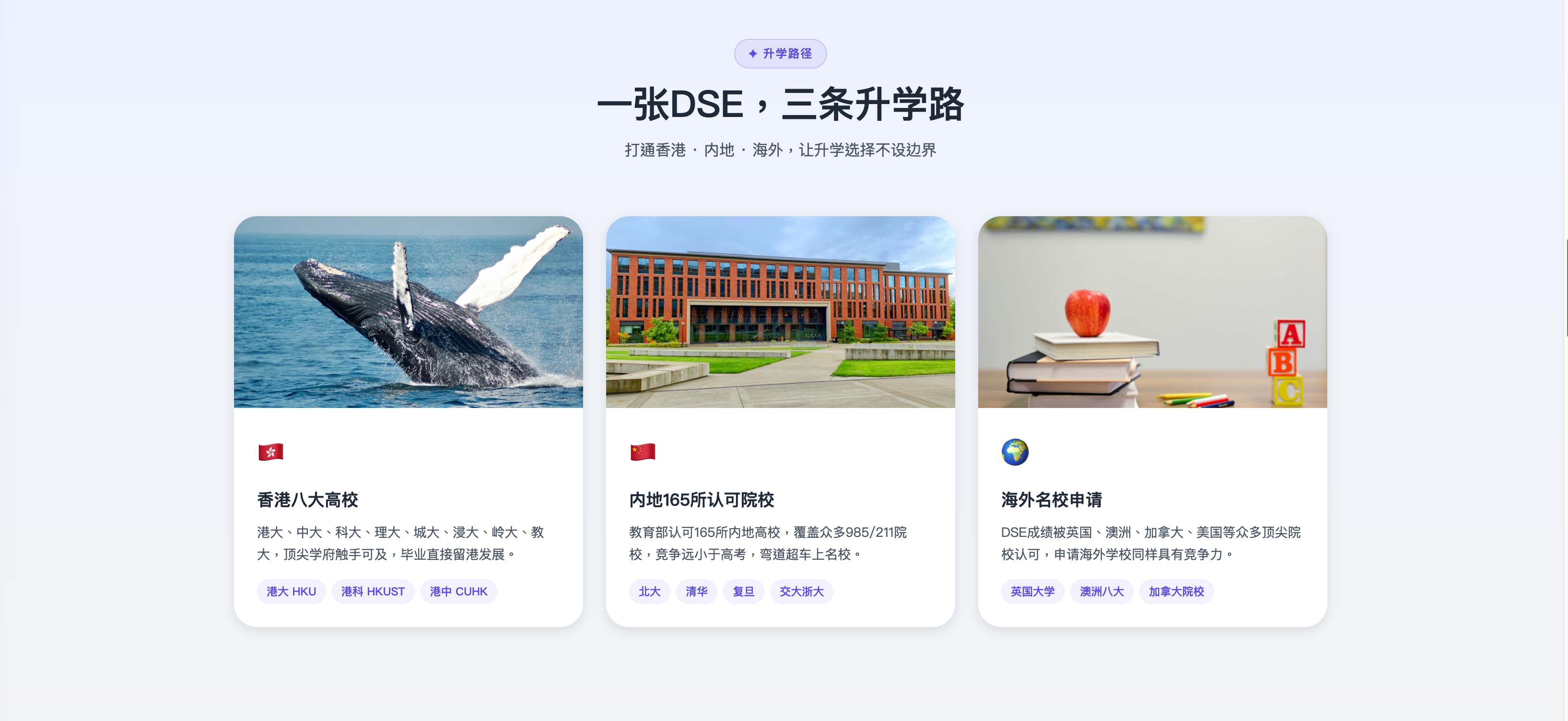 图片１的描述